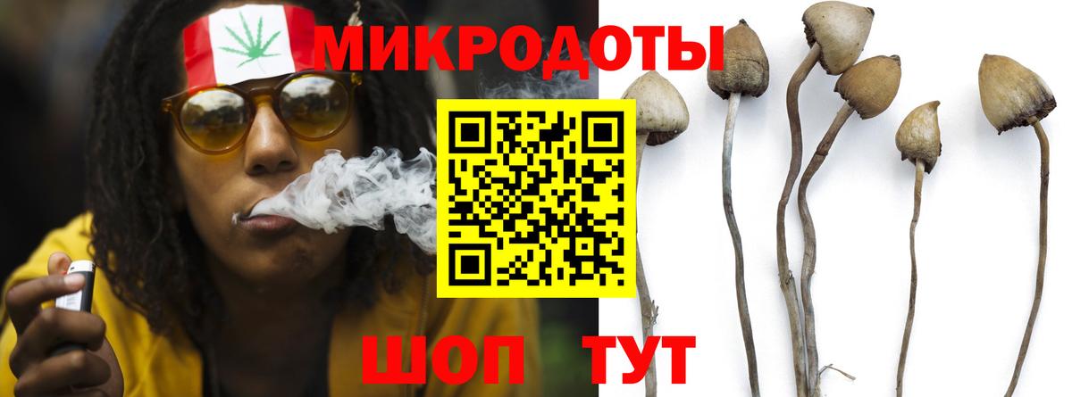 Галлюциногенные грибы мицелий  Вход с VPN  Псилоцибиновые грибы GOLDEN TEACHER  Южно-Сахалинск 